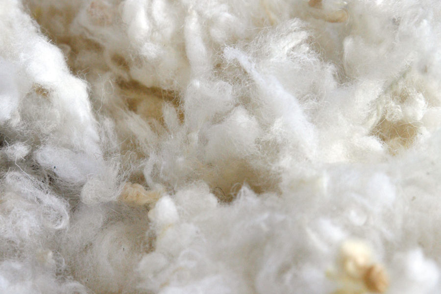 wool collection – produzione -materia prima