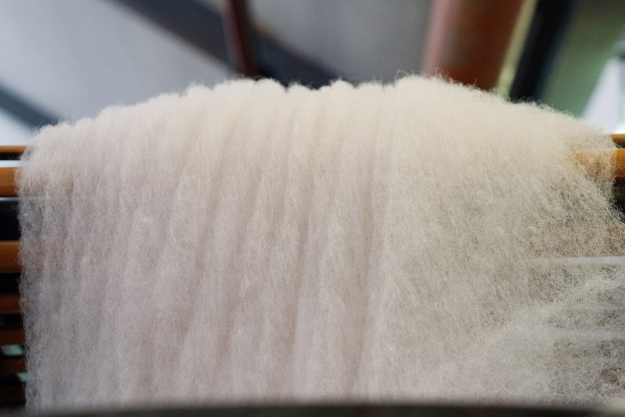 wool collection – produzione -materia prima