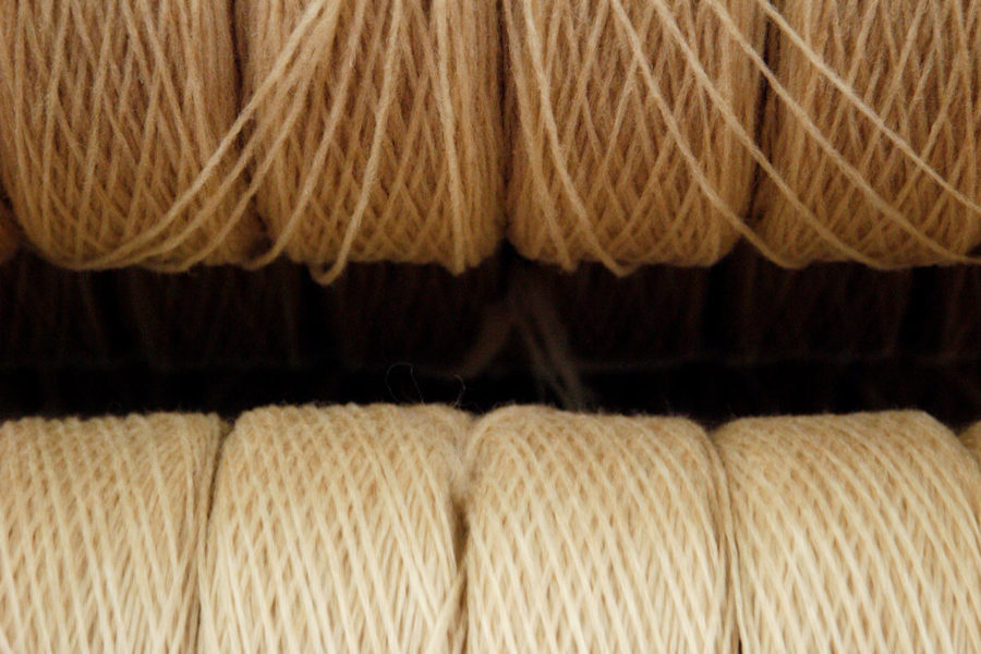 wool collection – lana cardata